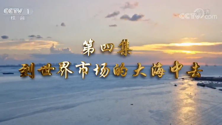 《我们一起走过——致敬改革开放40周年》第四集 到世界市场的大海中去