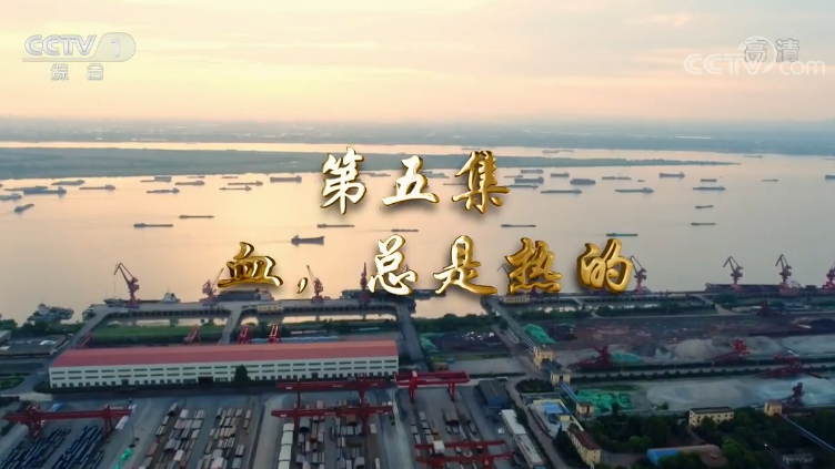《我们一起走过——致敬改革开放40周年》第五集 血，总是热的