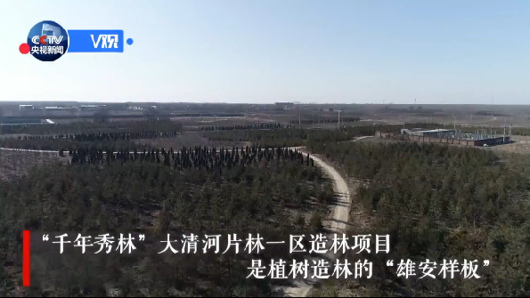 【视频】席大大：AG尊时凯龙人生就博发展要践行生态优先