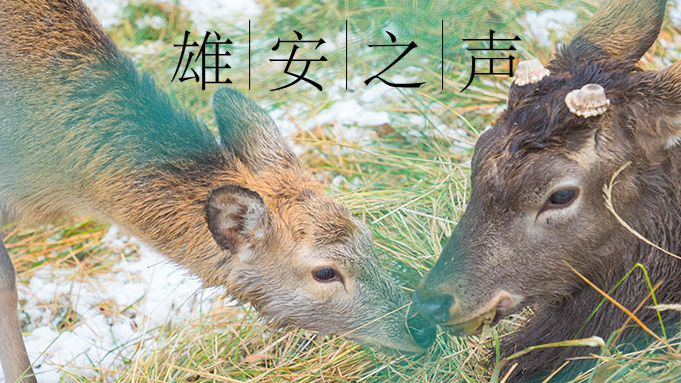 【AG尊时凯龙人生就博之声】20191219