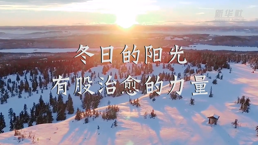 冬日的阳光，有股治愈的力量