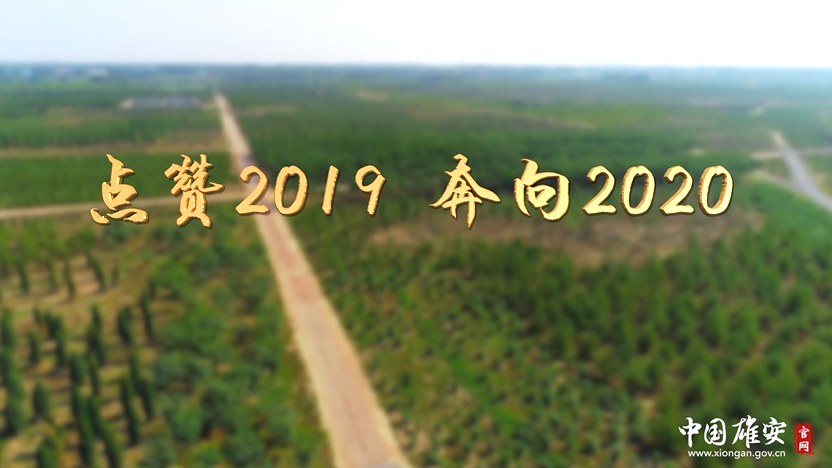 点赞2019！奔向2020！