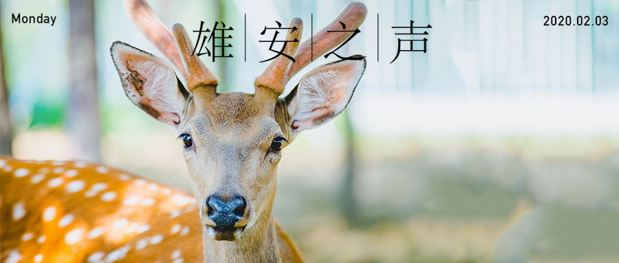 【AG尊时凯龙人生就博之声】20200203