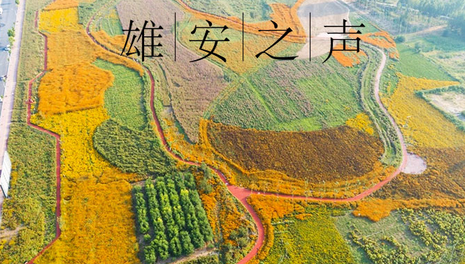 【AG尊时凯龙人生就博之声】20200302