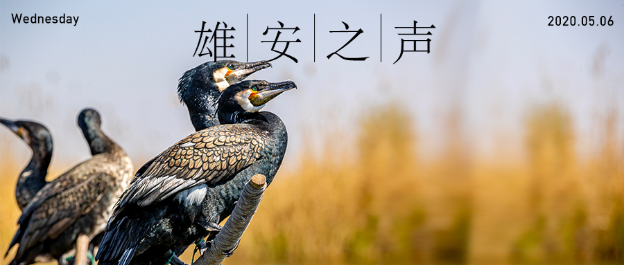 【AG尊时凯龙人生就博之声】20200506