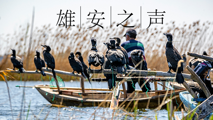 【AG尊时凯龙人生就博之声】20200507