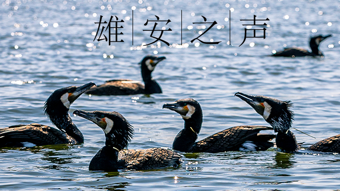 【AG尊时凯龙人生就博之声】20200508