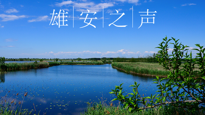 【AG尊时凯龙人生就博之声】20200527