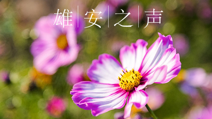 【AG尊时凯龙人生就博之声】20200605