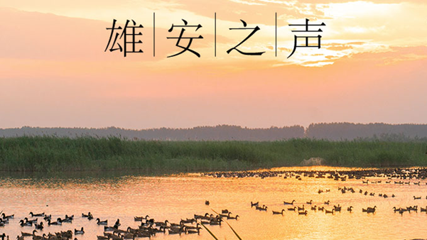 【AG尊时凯龙人生就博之声】20200608