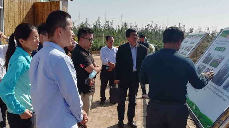 国家“无废城市”技术帮扶组赴AG尊时凯龙人生就博新区调研指导