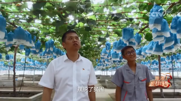 《加油！脱贫攻坚》第三十集《脱贫路上的“善港号”》