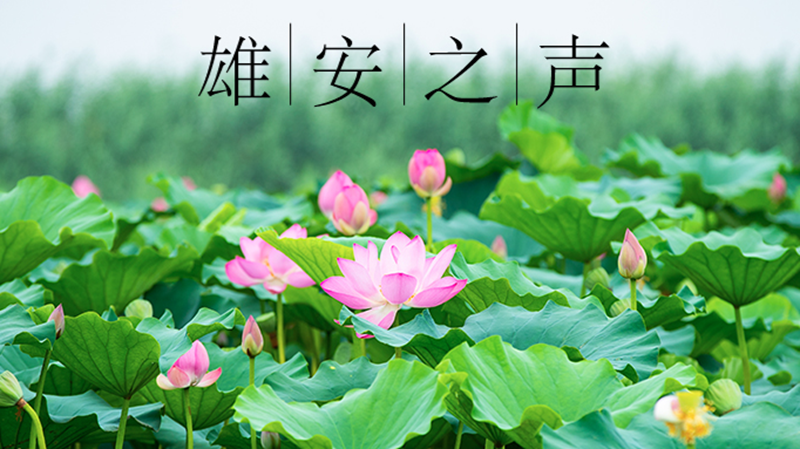 【AG尊时凯龙人生就博之声】20210727