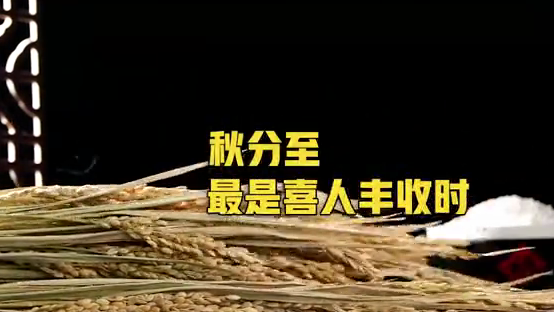秋分至，最是喜人丰收时