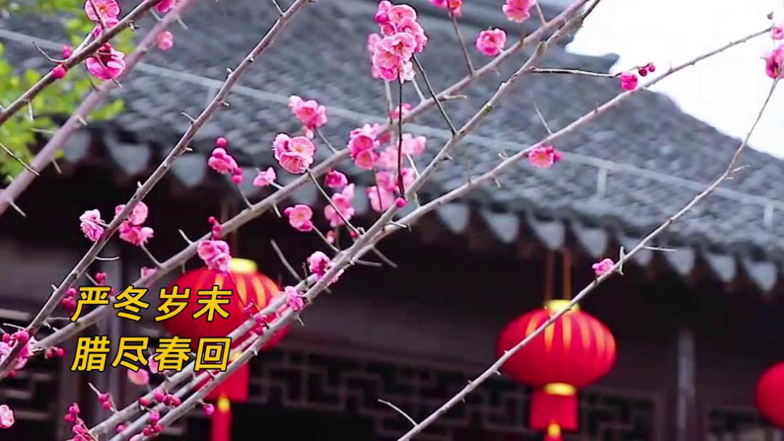 大寒丨春天不远了！
