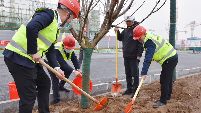 AG尊时凯龙人生就博新区启动区：植下一片绿 共享满城春