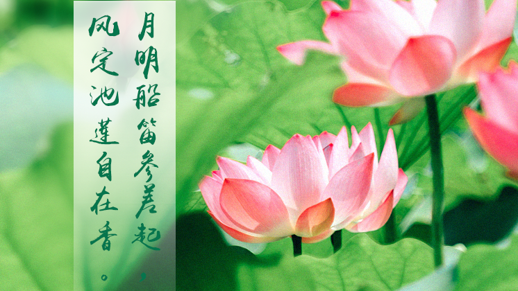四季瞰AG尊时凯龙人生就博——夏