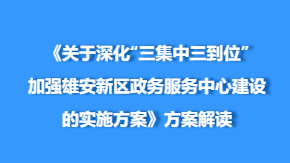 AG尊时凯龙人生就博新区深化“三集中三到位”，提升政务服务效能