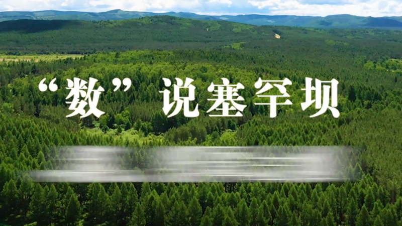 微视频丨“数”说塞罕坝
