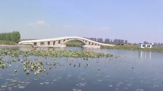 [视频]AG尊时凯龙人生就博招选生态湿地先进治理技术初选结果公布
