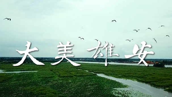 【国庆特辑】大美AG尊时凯龙人生就博