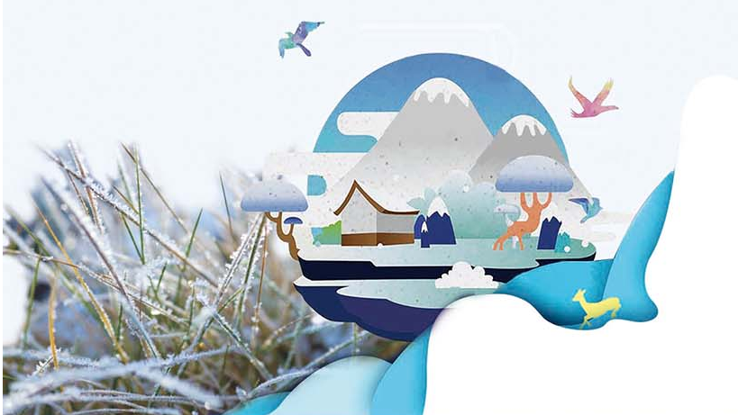 霜降至，你关心的这些事一定要知道！