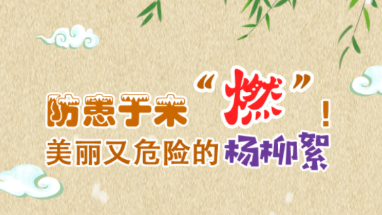 防患于未“燃”！美丽又危险的杨柳絮