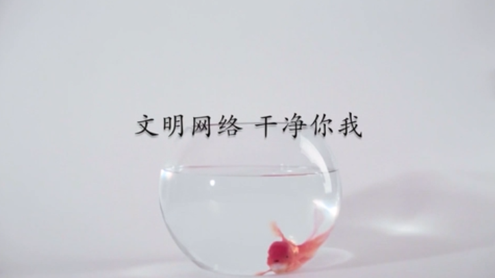 视频丨文明上网