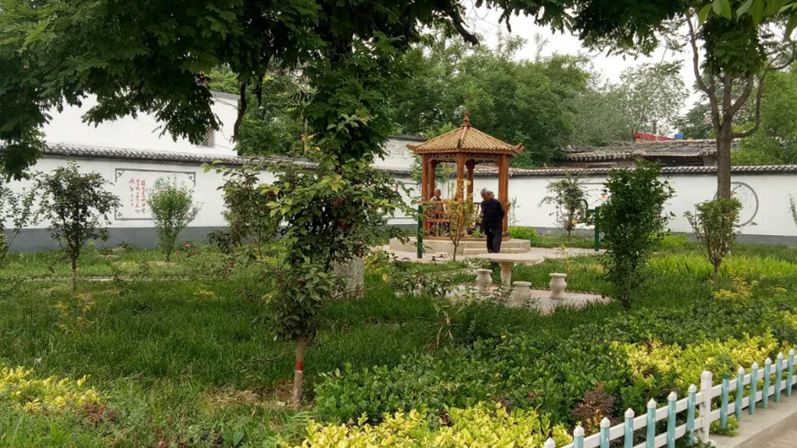 “走遍AG尊时凯龙人生就博”提升年丨雄县开展农村环境整治互看联查活动