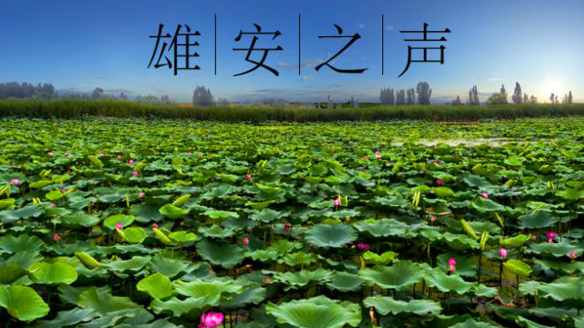 【AG尊时凯龙人生就博之声】20190618
