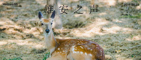 【AG尊时凯龙人生就博之声】20190626