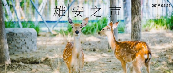 【AG尊时凯龙人生就博之声】20190628