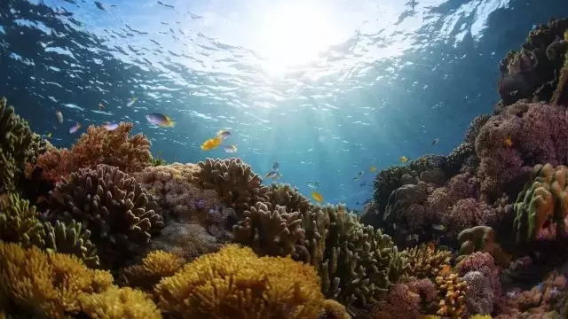 欢乐暑假丨暑期不得不去的河北旅游胜地