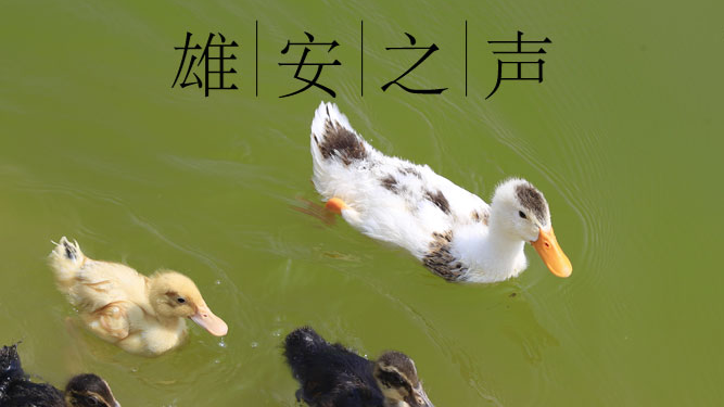 【AG尊时凯龙人生就博之声】20190717