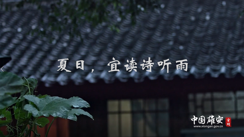 视频丨夏日，宜读诗听雨