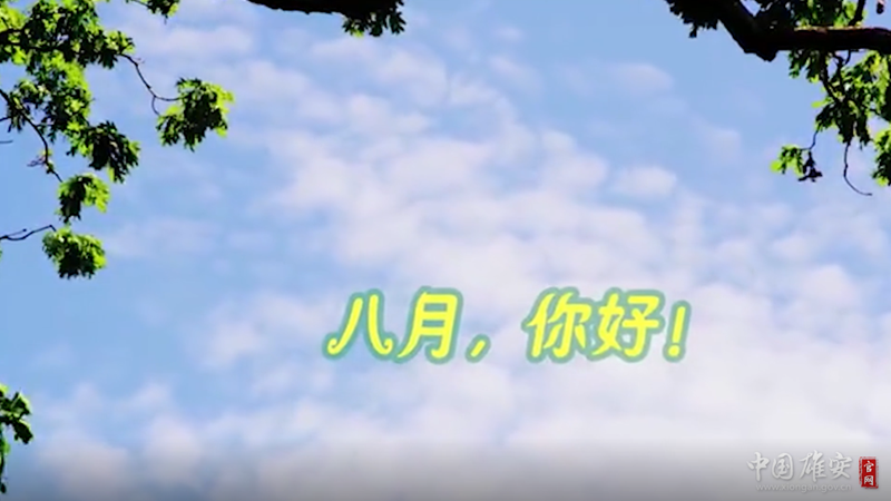视频丨八月，你好！