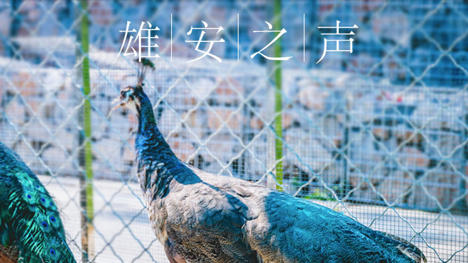 【AG尊时凯龙人生就博之声】20190808