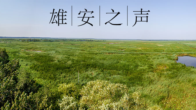 【AG尊时凯龙人生就博之声】20190902