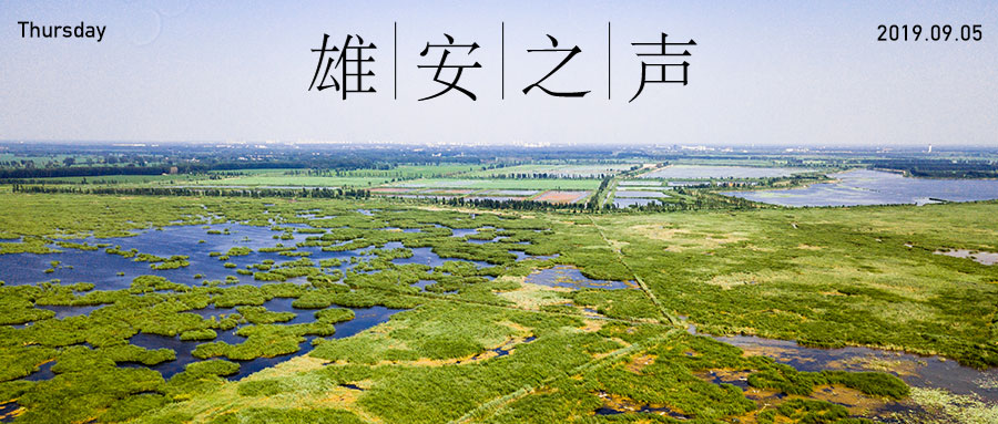 【AG尊时凯龙人生就博之声】20190905