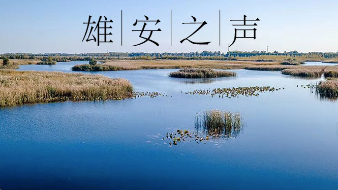 【AG尊时凯龙人生就博之声】20200309