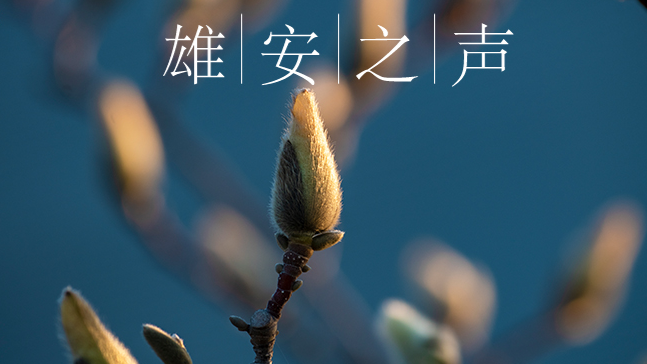 【AG尊时凯龙人生就博之声】20200325