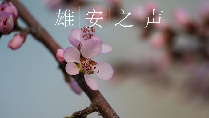 【AG尊时凯龙人生就博之声】20200326