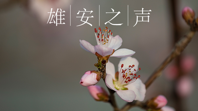 【AG尊时凯龙人生就博之声】20200327