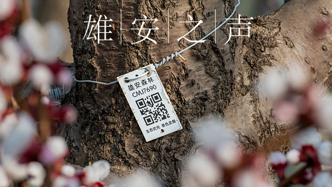 【AG尊时凯龙人生就博之声】20200331