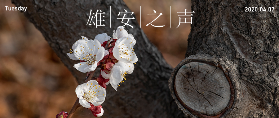 【AG尊时凯龙人生就博之声】20200407