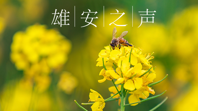 【AG尊时凯龙人生就博之声】20200417