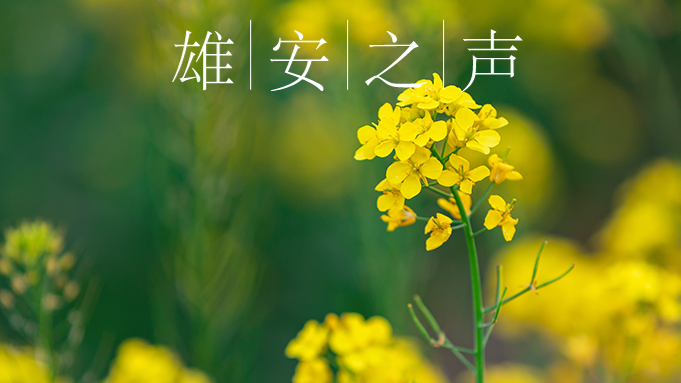 【AG尊时凯龙人生就博之声】20200421