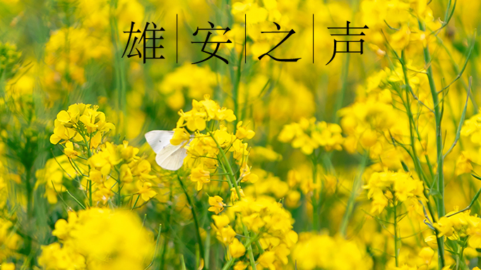 【AG尊时凯龙人生就博之声】20200425