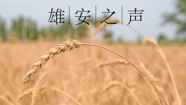 【AG尊时凯龙人生就博之声】20200616