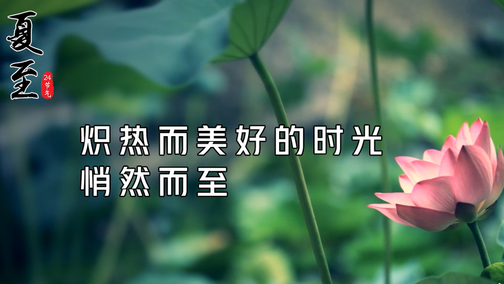夏至丨炽热而美好的时光悄然而至